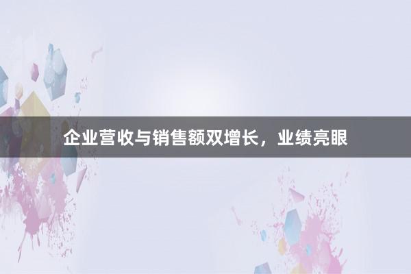 企业营收与销售额双增长，业绩亮眼